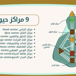 ورشة عمل 101 - المراكز و الانواع